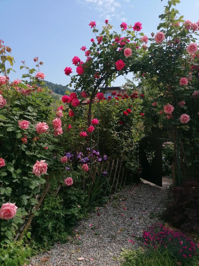 B&B 7E Art Vevey Exterior foto